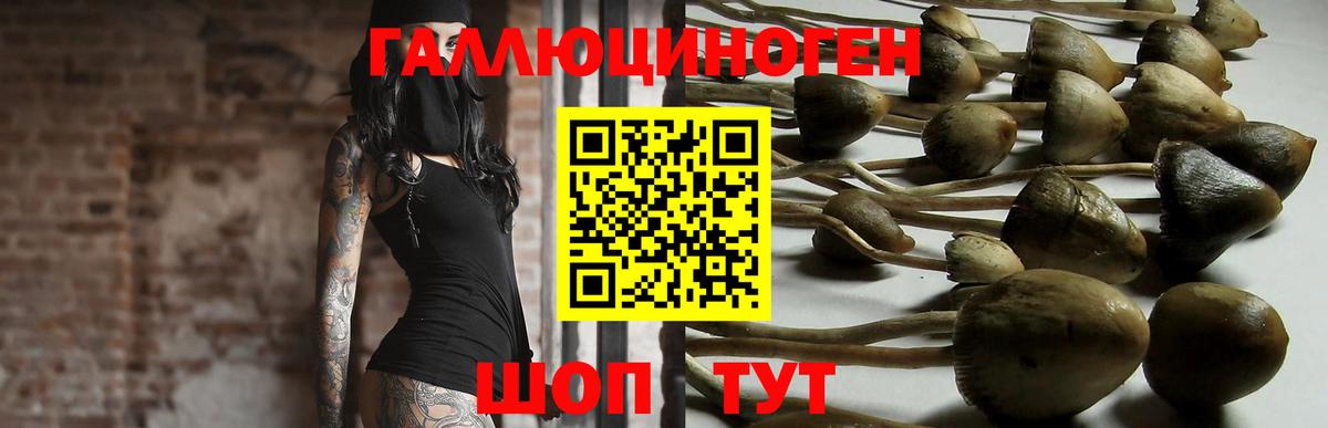 Галлюциногенные грибы GOLDEN TEACHER Углич